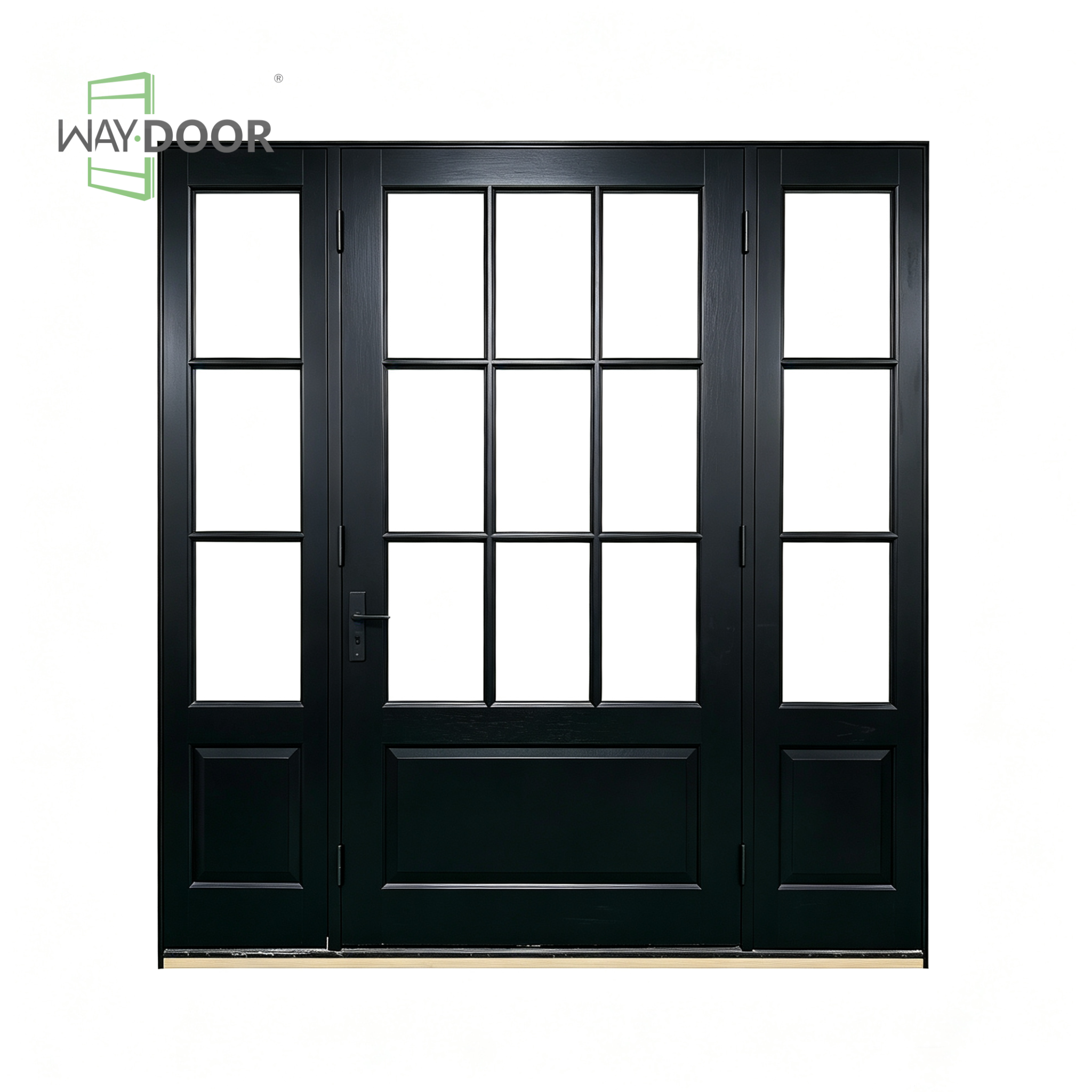 Black 9-Lite Clear Glass Solid Wood Hinged Exterior Entry Door with 2 Sidelites