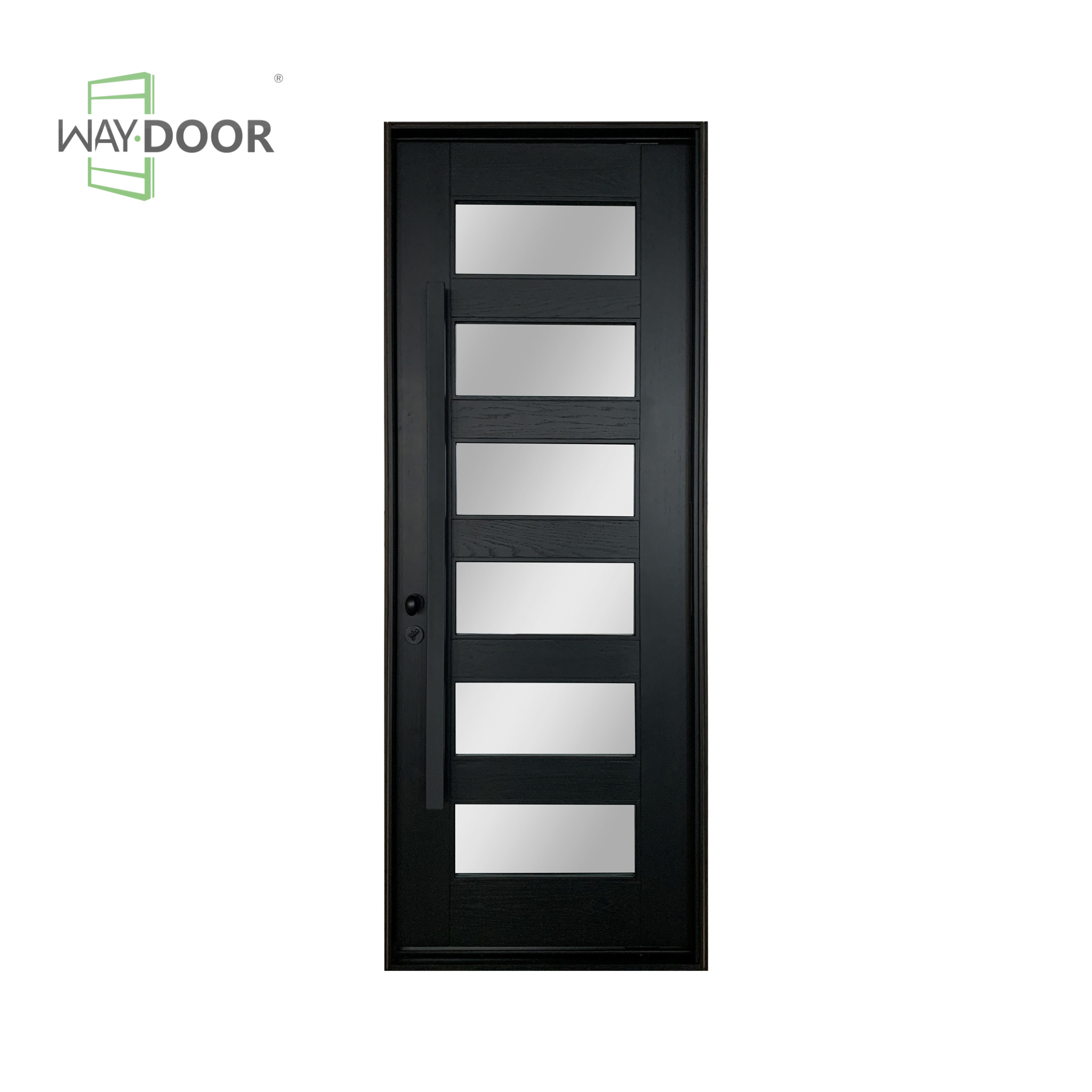 Black Contemporary 6-Lite Frosted Glass Solid Wood Hinged Entry Door