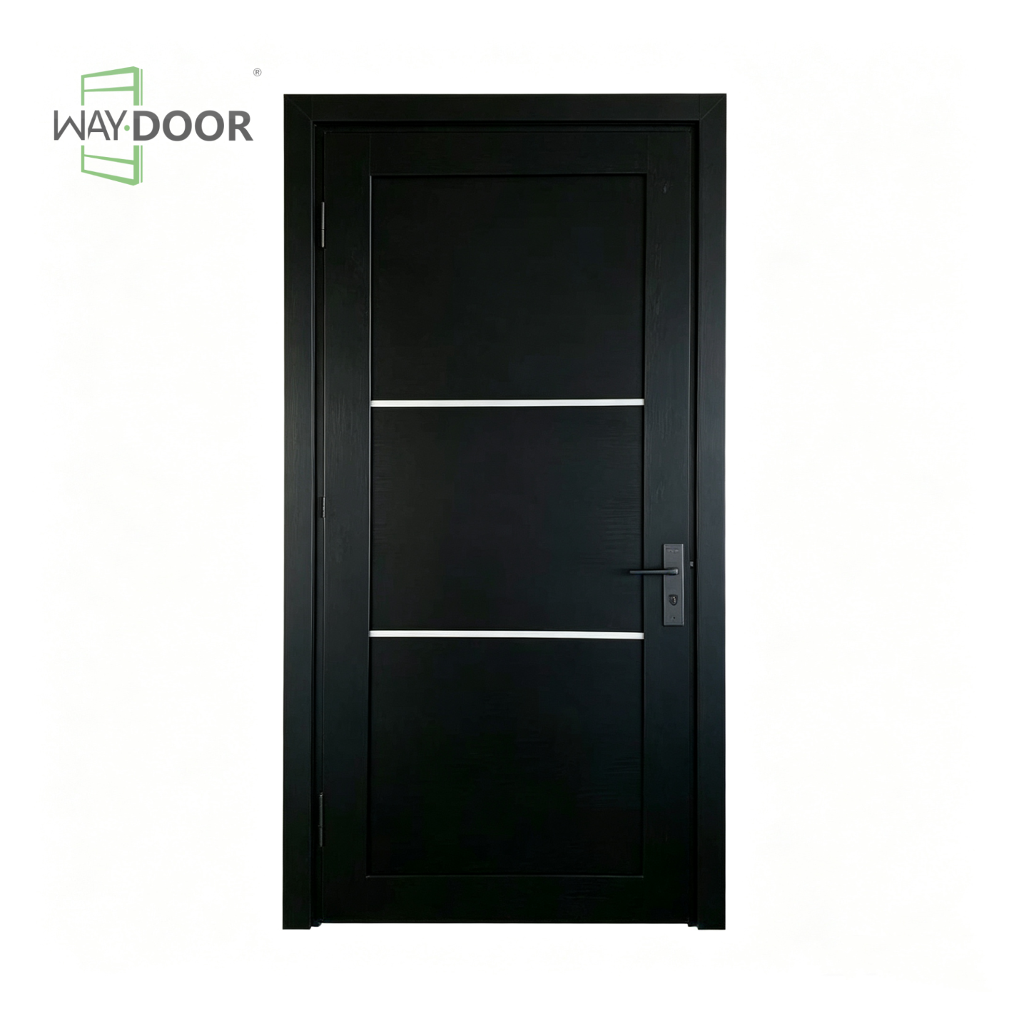 Black Modern White Inset Trim Entry Door