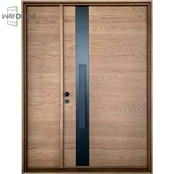 Modern Doors