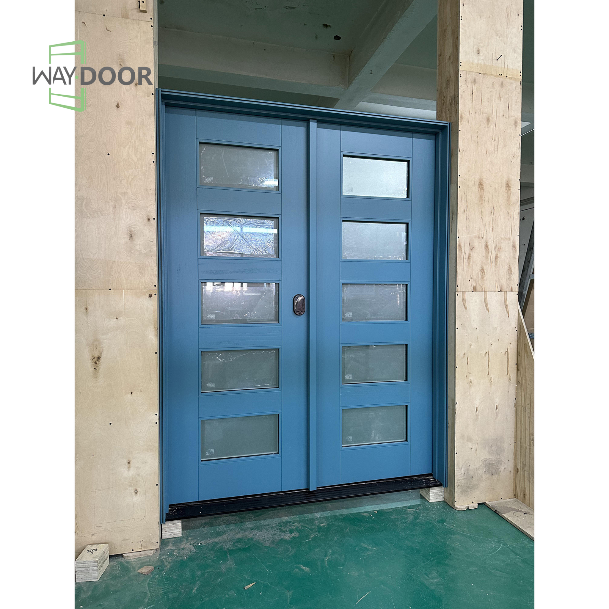 Contemporary 10-Lite Solid Wood Double Entry Door